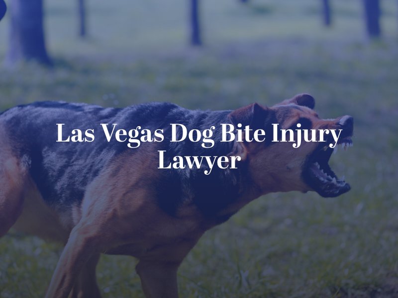 Las Vegas Dog Bite Injury Lawyer