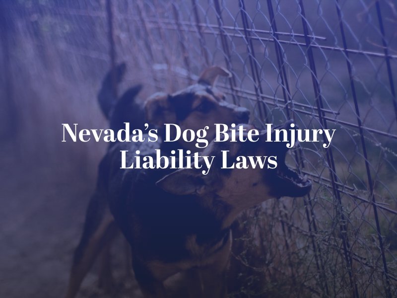 Henderson dog bite injury attorney