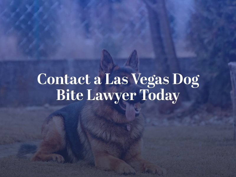 Las Vegas Dog Bite Injury Attorney