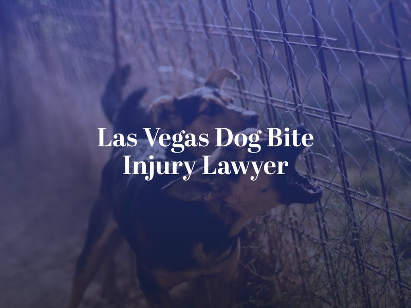 Las Vegas Dog Bite Injury Lawyer